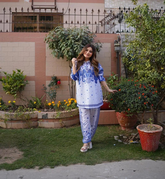 2 Pcs Women's Stitched Swiss Lawn Printed Shirt And Trouser